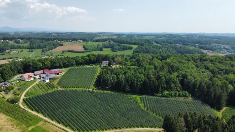 Hohenegger Hof Foto Grundstück